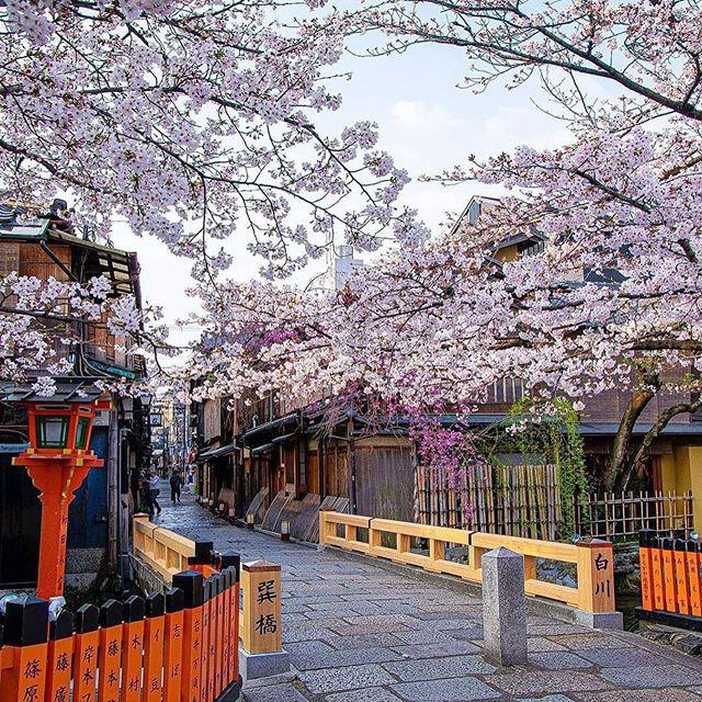 6 Cây Cầu phải “ghé thăm” khi đến Kyoto - 5