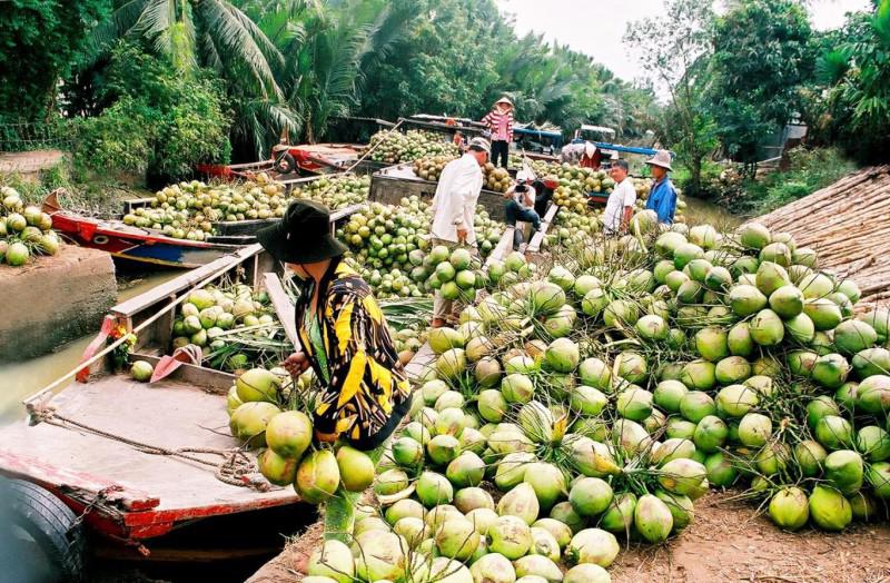 Bến Tre đẩy mạnh phát triển du lịch nông nghiệp - 1