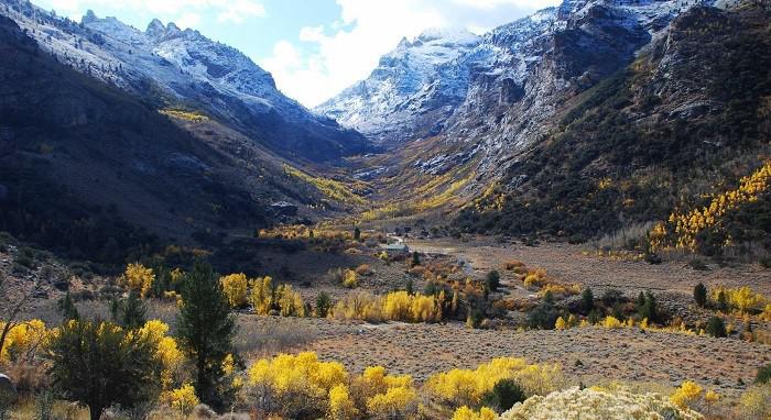 Mỹ: Chuyện ngược đời thời Covid - 3