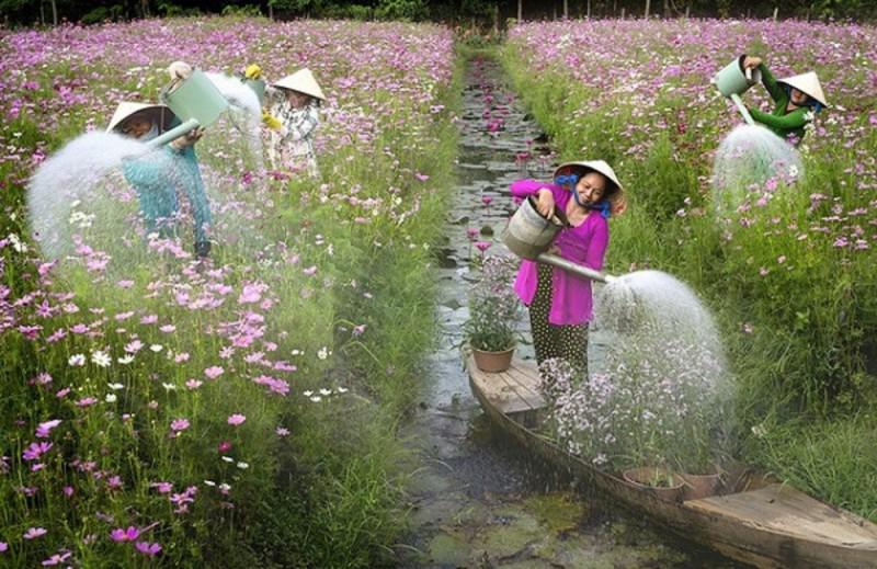 Nhiếp ảnh gia Việt Nam thắng giải cuộc thi ảnh quốc tế #Spring2020 - 4