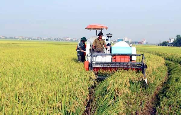 Bộ trưởng Bộ Nông nghiệp và Phát triển Nông thôn Nguyễn Xuân Cường: Quyết tâm bảo đảm vững chắc an ninh lương thực, thực phẩm cho 100 triệu dân trong nước trong mọi tình huống - 3