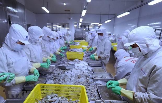 Bộ trưởng Bộ Nông nghiệp và Phát triển Nông thôn Nguyễn Xuân Cường: Quyết tâm bảo đảm vững chắc an ninh lương thực, thực phẩm cho 100 triệu dân trong nước trong mọi tình huống - 2