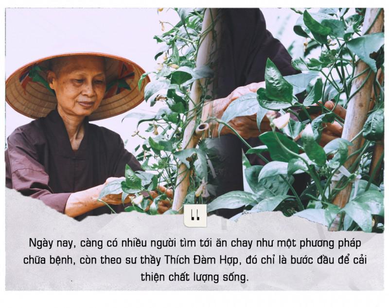 Vào chùa học ăn chay - 3