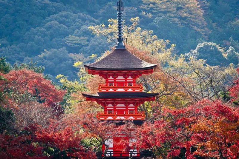 Kyoto - Viên ngọc của Nhật Bản - 7