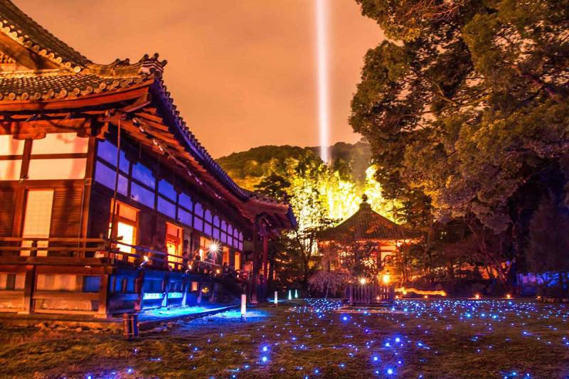 Kyoto - Viên ngọc của Nhật Bản - 14