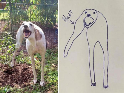 Bức tranh "Cún ngáo" xấu điên đảo giật giải quán quân trong cuộc thi vẽ chó