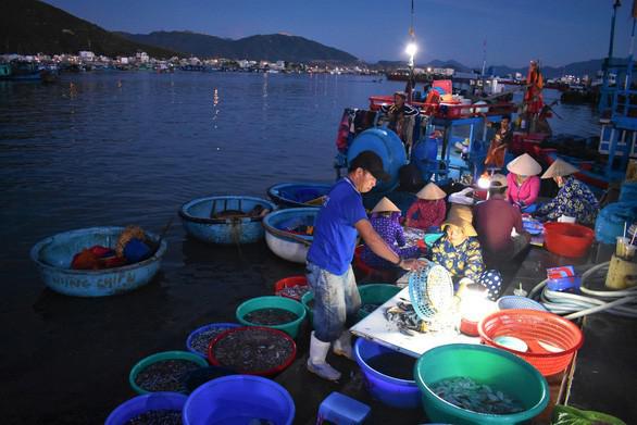 Cảng cá giữ an toàn trong mùa dịch - 1