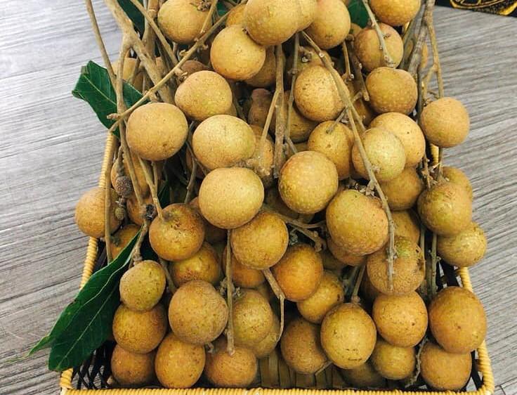 Khơi thông xuất khẩu hoa quả Việt Nam sang thị trường Mỹ - 1