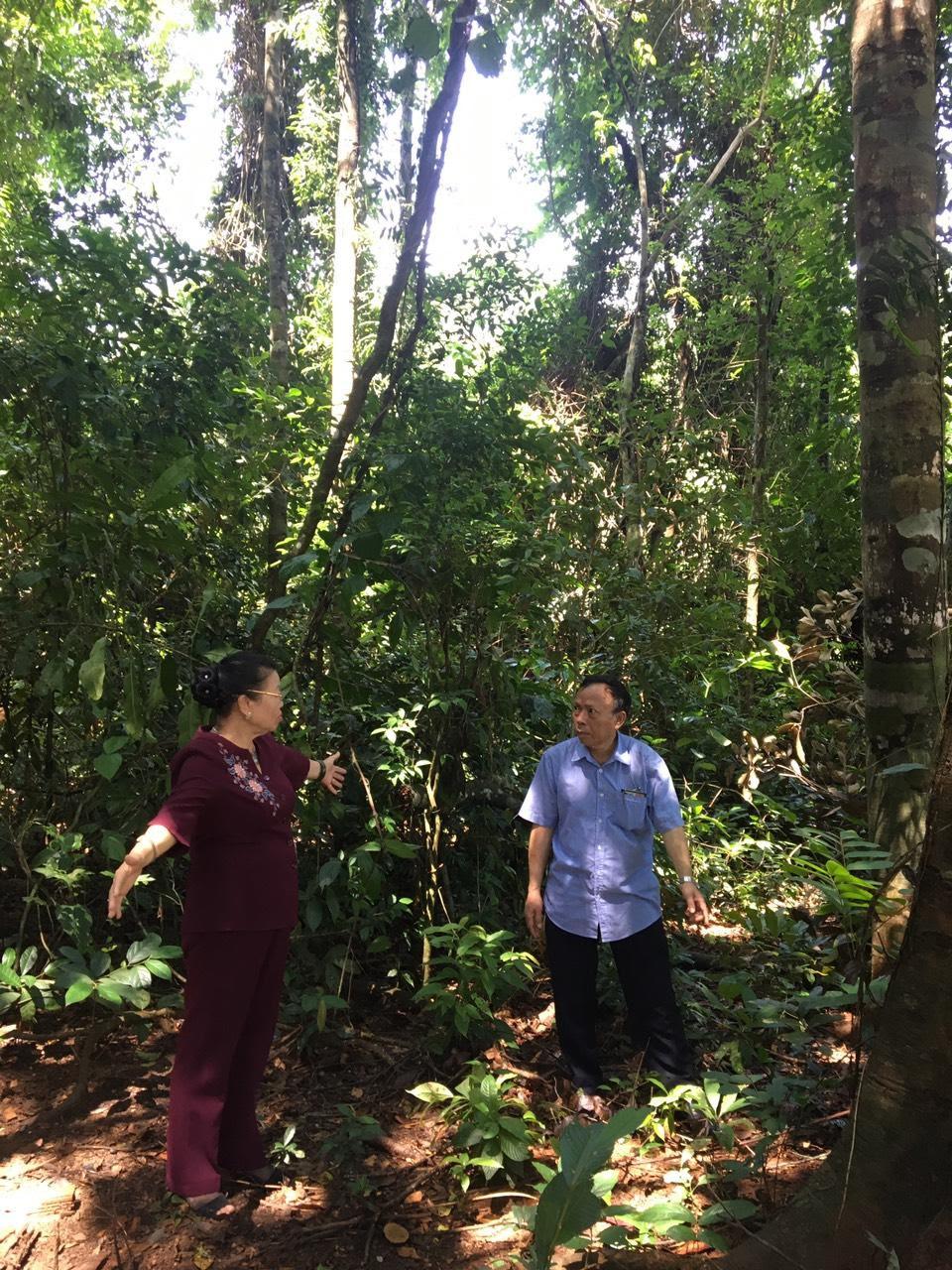 Trở lại chiến khu xưa - 1