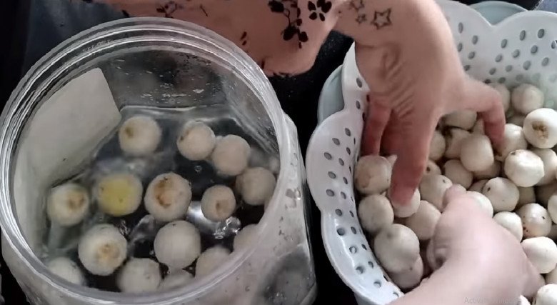 Muối cà pháo nhớ làm thêm bước này, quả nào cũng trắng phau phau, giòn tan, để cả tháng không nổi váng - 9