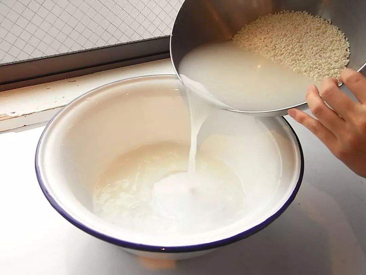 Nước vo gạo trồng hoa rất tốt nhưng tưới thế này chỉ khiến nhà bốc mùi, thu hút côn trùng, dễ chết cây - 2