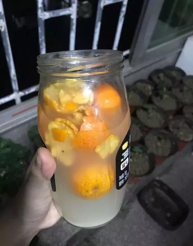 Nước vo gạo trồng hoa rất tốt nhưng tưới thế này chỉ khiến nhà bốc mùi, thu hút côn trùng, dễ chết cây - 3