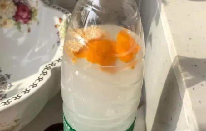 Ngâm 4 loại rác này với nước vo gạo, độ phì nhiêu tăng gấp đôi, tưới cây nào cũng xanh tốt - 4