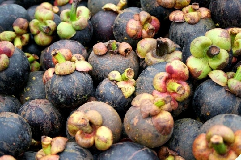 Măng cụt vào vụ khi mua nhìn kỹ 3 điểm này 10 quả ngọt cả 10, cùi dày, không sượng - 1