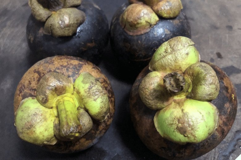 Măng cụt vào vụ khi mua nhìn kỹ 3 điểm này 10 quả ngọt cả 10, cùi dày, không sượng - 4