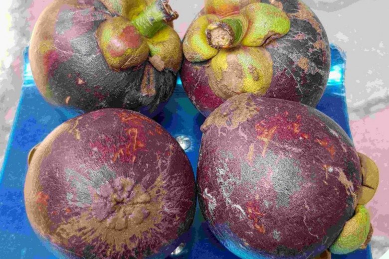 Măng cụt vào vụ khi mua nhìn kỹ 3 điểm này 10 quả ngọt cả 10, cùi dày, không sượng - 6