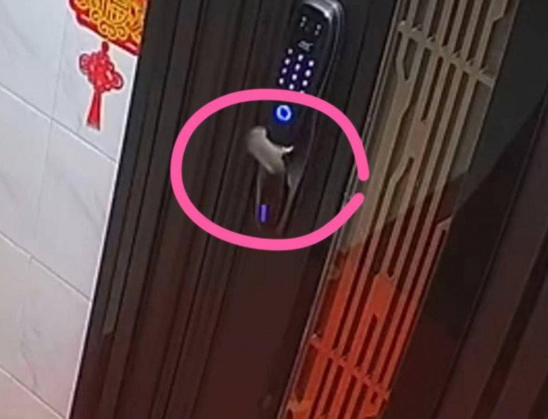 Chuông cửa vang lên lúc nửa đêm, chủ nhà sợ xanh mặt không dám ngủ, xem camera xong thì chết lặng - 2