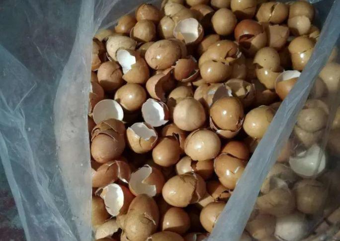 4 loại rác này trong nhà đều là phân lân tự nhiên, vùi một ít vào đất hoa nở không ngừng - 2
