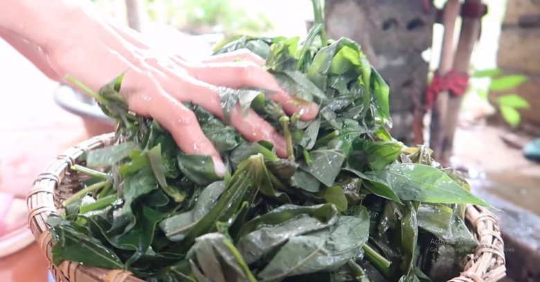 Cứ tưởng trồng chỉ để lấy củ ai ngờ l&aacute; của c&acirc;y n&agrave;y cực ngon, nấu chung với con gi&agrave;u đạm được m&oacute;n bổ từ đầu đến ch&acirc;n - 2