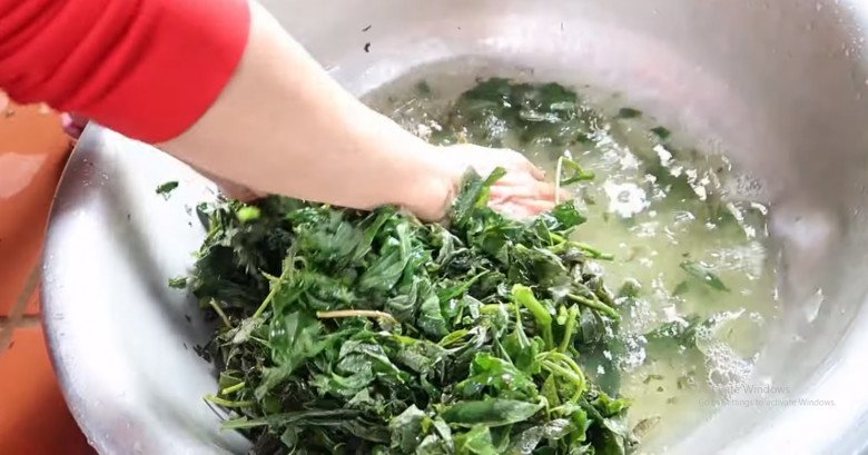 Cứ tưởng trồng chỉ để lấy củ ai ngờ l&aacute; của c&acirc;y n&agrave;y cực ngon, nấu chung với con gi&agrave;u đạm được m&oacute;n bổ từ đầu đến ch&acirc;n - 3