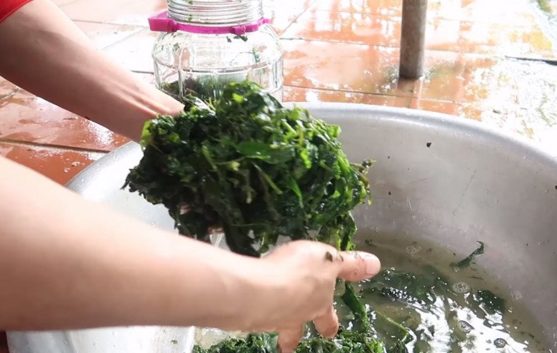 Cứ tưởng trồng chỉ để lấy củ ai ngờ l&aacute; của c&acirc;y n&agrave;y cực ngon, nấu chung với con gi&agrave;u đạm được m&oacute;n bổ từ đầu đến ch&acirc;n - 5