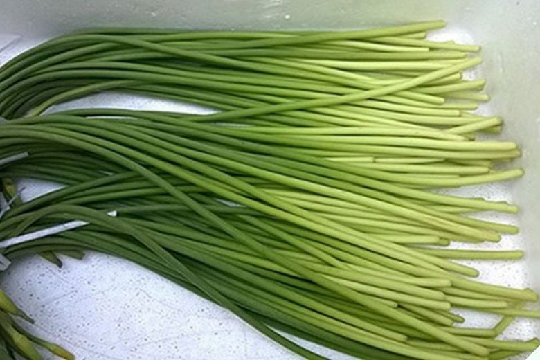 Thường ăn 3 loại “rau trường thọ” này tốt hơn thuốc bổ, số 2 vườn nhà nào cũng có mà không biết lấy ăn - 1