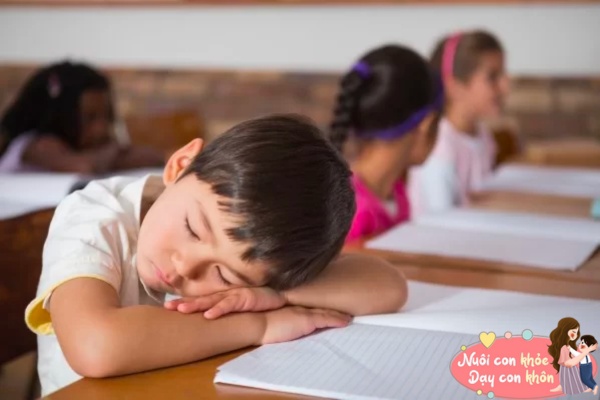 Đứa trẻ ngủ sớm và thức khuya có sự khác biệt rõ ràng trong lớp học - 6
