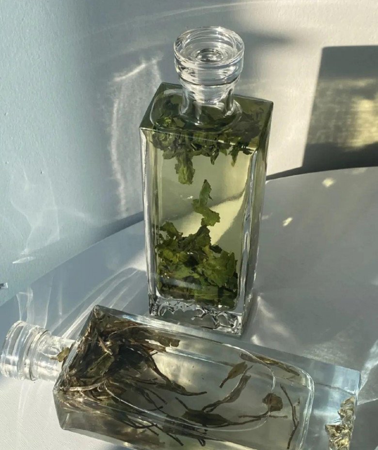 Dung dịch dinh dưỡng tuyệt vời để trồng hoa, không tốn một xu mà lá xanh mướt rượt, hoa nở tuôn như suối - 2