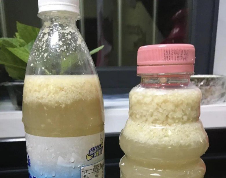 Dung dịch dinh dưỡng tuyệt vời để trồng hoa, không tốn một xu mà lá xanh mướt rượt, hoa nở tuôn như suối - 3