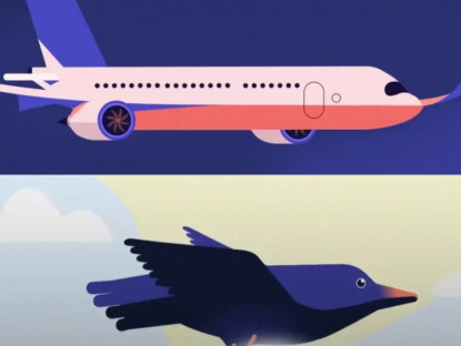 Video - Máy bay mô phỏng loài chim như thế nào?