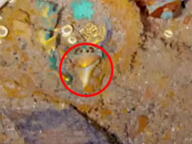 Điều gây kinh ngạc trên chiếc vòng cổ bằng vàng bị lãng quên bên trong xác tàu Titanic?