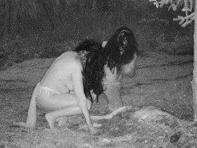 Canada: Đặt camera theo dõi xác nai qua đêm, thấy cảnh đáng sợ