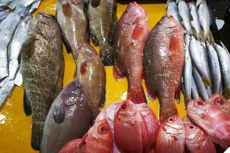 5 loại cá biển này đều là đánh bắt tự nhiên, đi chợ thấy nhớ mua, người bán cũng phải nể vài phần - 1