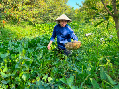 Thông tin doanh nghiệp - Thiện Nhân: “Dùng sự sáng tạo để đưa tới nội dung có ích cho cộng đồng”