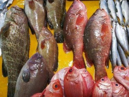 Gia đình - 5 loại cá biển này đều là đánh bắt tự nhiên, đi chợ thấy nhớ mua, người bán cũng phải nể vài phần