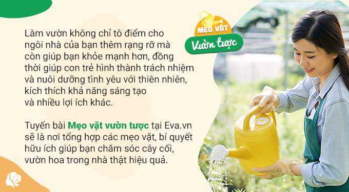 Trồng hoa mà ngại thay đất, dạy bạn 3 “chiêu” này đất luôn màu mỡ tơi xốp, cây phát triển xanh tốt - 1