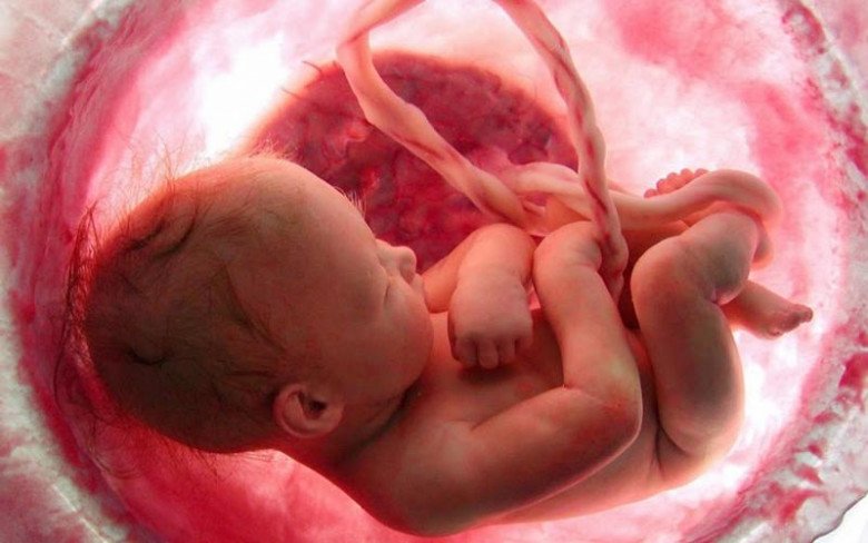 5 sự phát triển kỳ diệu của thai nhi khi còn nằm trong bụng có thể chính mẹ bầu cũng không biết - 3
