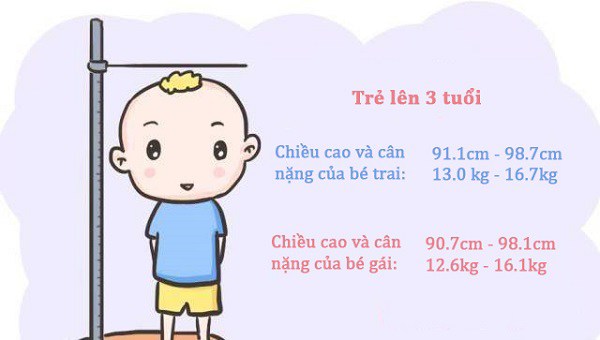 Chính xác chiều cao và cân nặng của trẻ 3 tuổi, mẹ xem ngay con có đạt chuẩn - 4