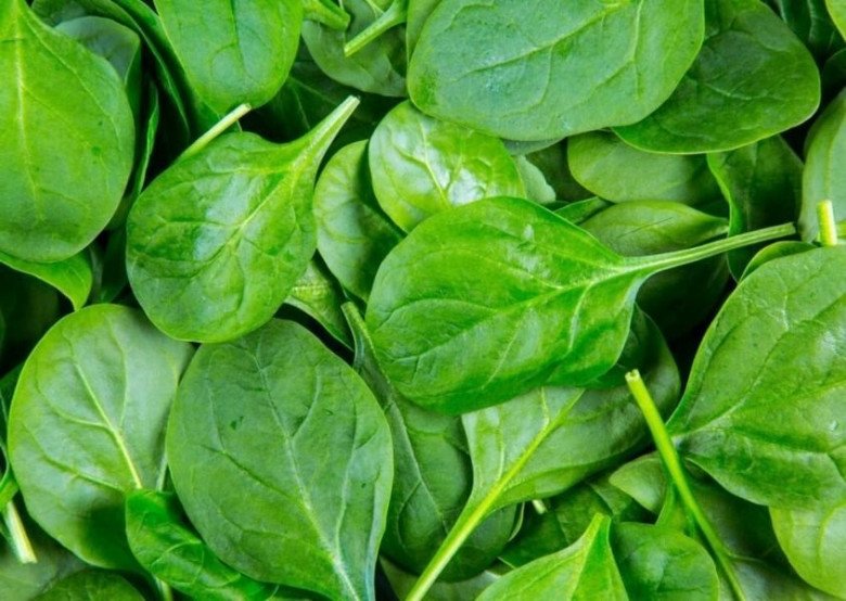 Loại rau có tên gọi rất "quê" được mệnh danh là siêu thực phẩm, bà bầu ăn có tốt không? - 1