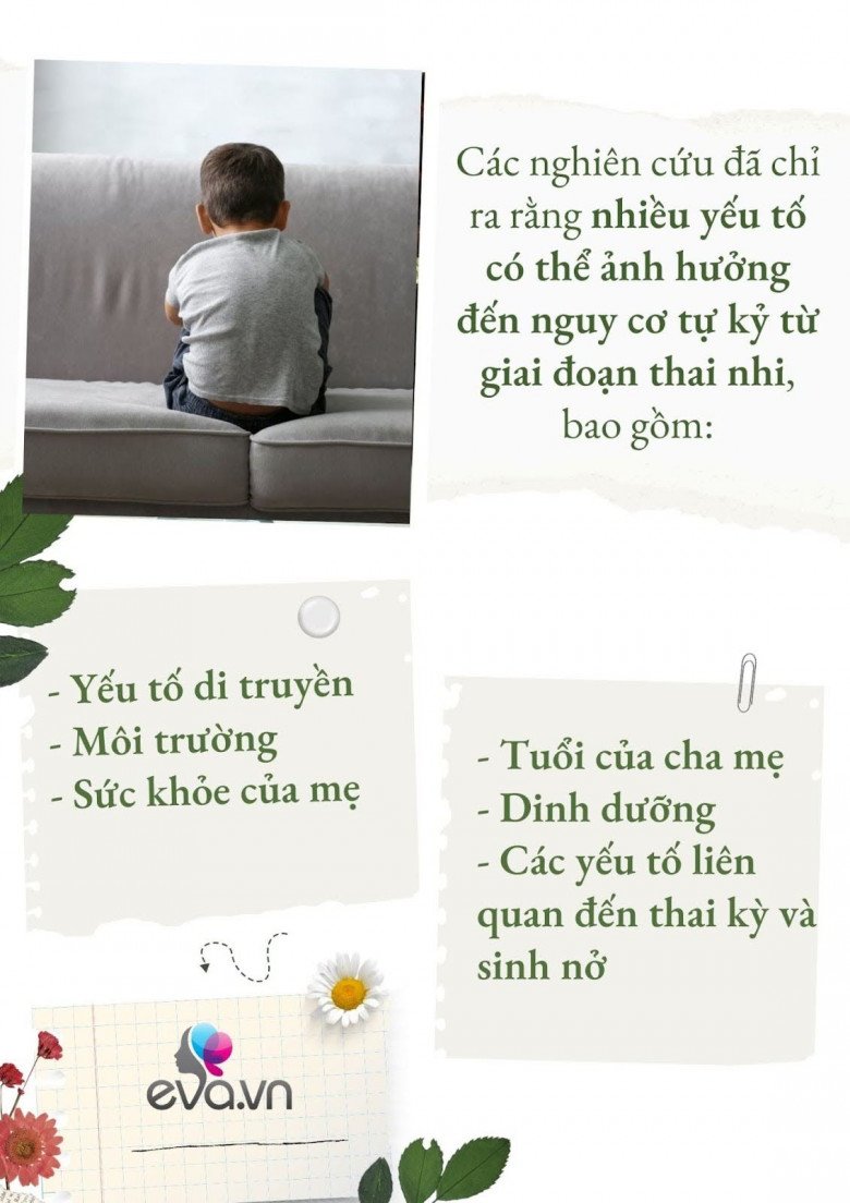 Trẻ có thể bị tử kỷ ngay từ khi còn trong bụng mẹ không? - 2