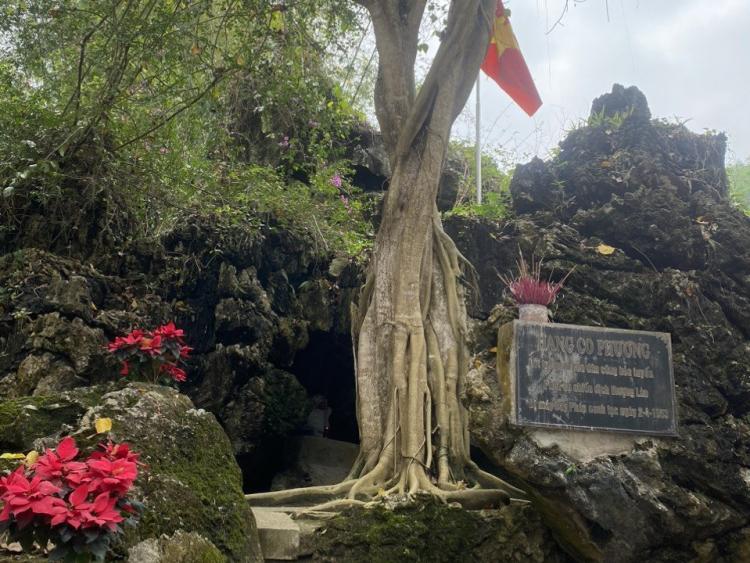 Tưởng nhớ những người đã hi sinh tuổi thanh xuân