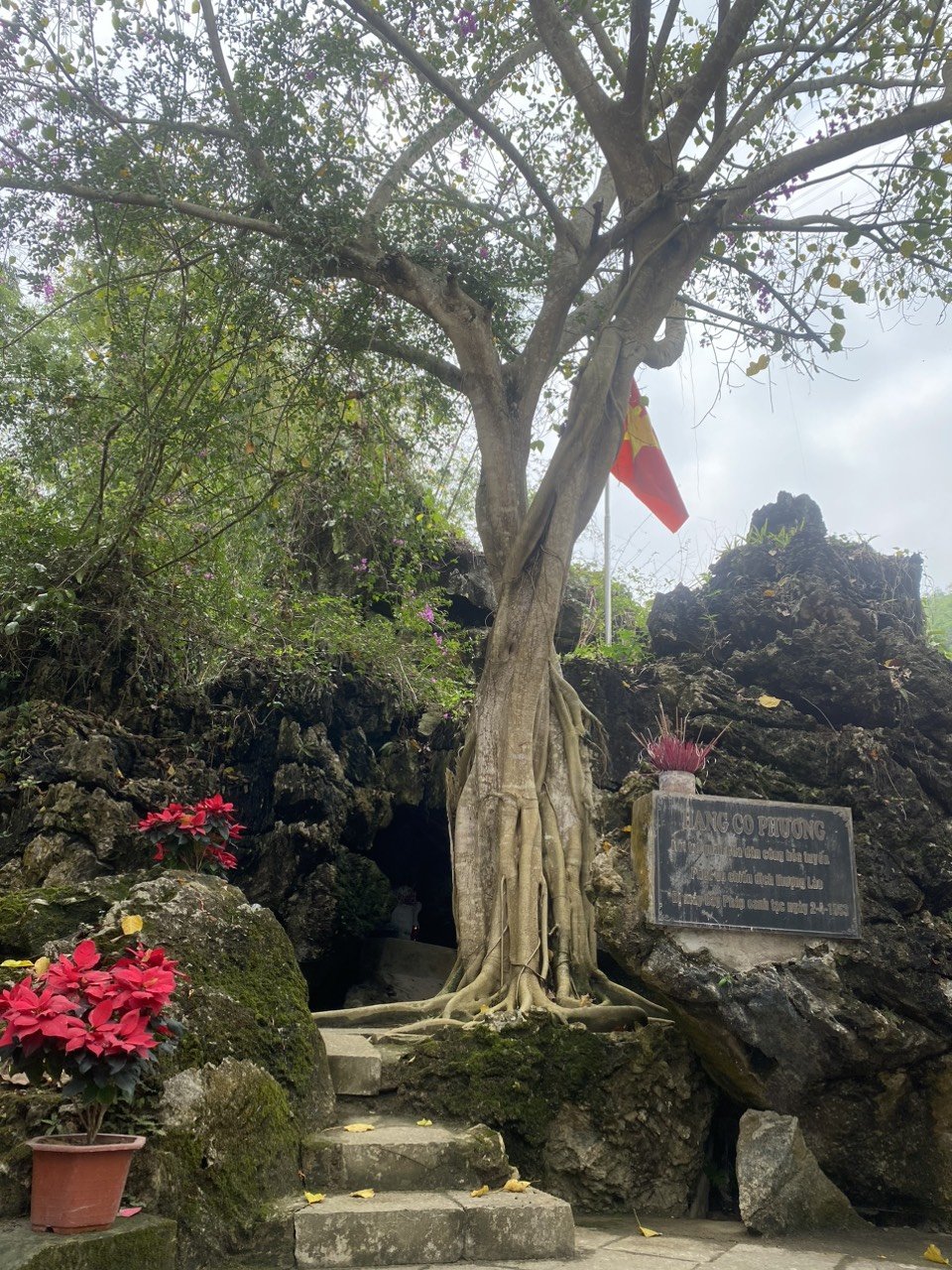 Tưởng nhớ những người đã hi sinh tuổi thanh xuân - 1