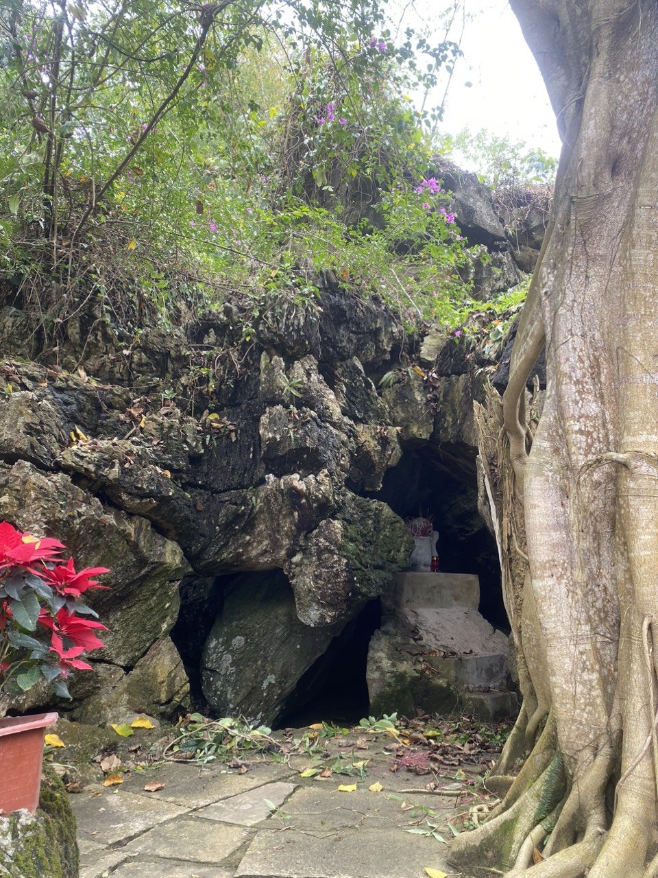 Tưởng nhớ những người đã hi sinh tuổi thanh xuân - 2