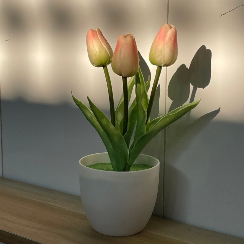 Phòng khách dù lớn đến mấy cũng đừng để 4 loại hoa, đây không phải mê tín - 4