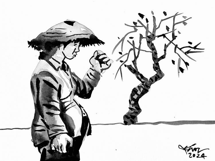 Con gái ông Hương quản (truyện ngắn)