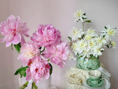 9X chia sẻ cách cắm hoa mẫu đơn trứng, “ấp” thành công hoa nở to bằng miệng bát, tỏa hương quyến rũ