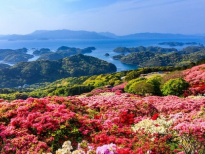 Không chỉ có hoa anh đào, loài hoa này cũng đang vào mùa nở rộ đẹp nhất ở Nhật
