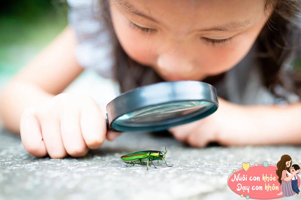 Chuyên gia nói: Để dạy trẻ học giỏi, việc xem con bọ đánh nhau hiệu quả hơn so với trả lời câu hỏi - 3