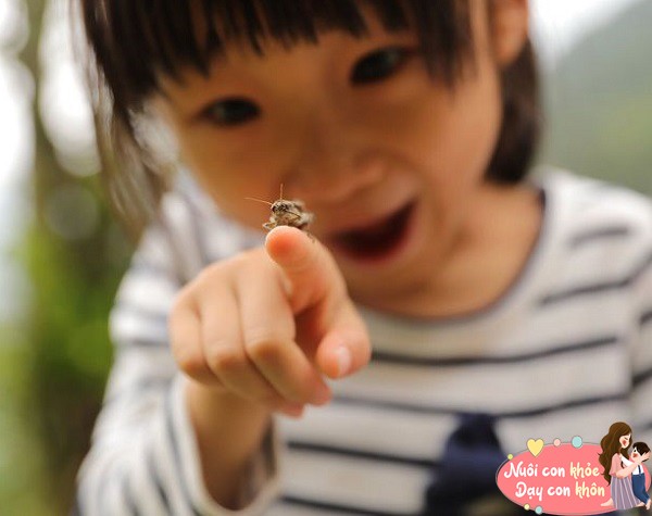 Chuyên gia nói: Để dạy trẻ học giỏi, việc xem con bọ đánh nhau hiệu quả hơn so với trả lời câu hỏi - 6