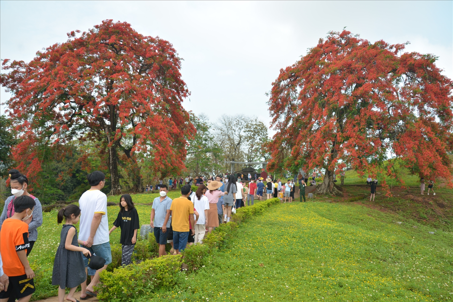 Nơi bùn và máu ngày ấy nở hoa - 2